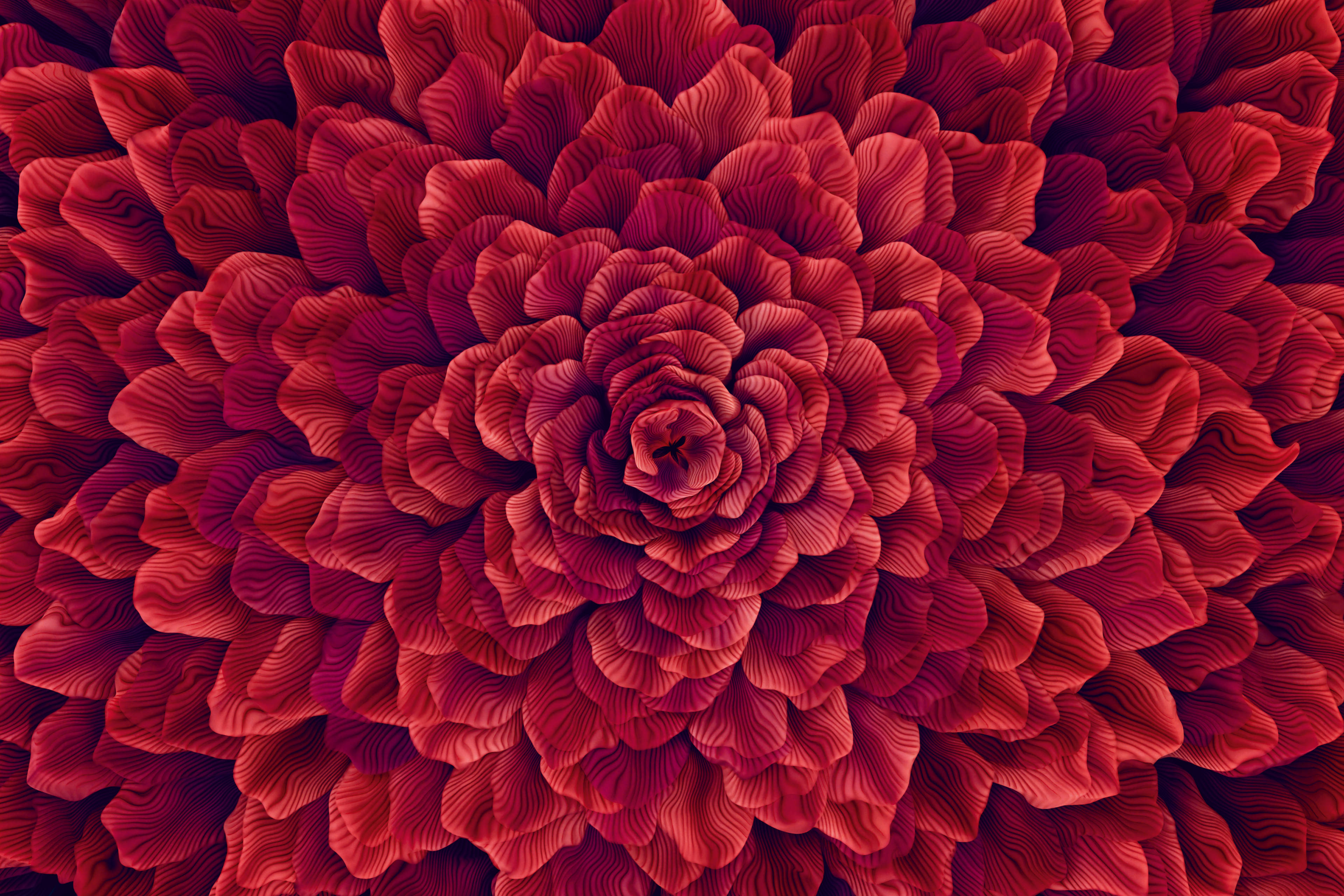 Opulent, artificial red flower for an experimental carpet design (3x2m). From the center, the petals of the flower cover the whole carpet. Screenshot calculated from a handcrafted, colored volumetric field, rendered with the 3D software blender.